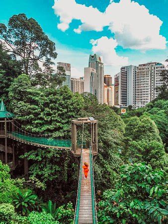 Kl forest eco park has had a makeover and boasts an impressive new canopy walk. KL Forest Eco Park (Kuala Lumpur) - 2019 Alles wat u moet ...