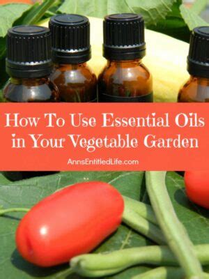 Certain oils have the capability to efficiently restore balance in your inner hear and treat underlying causes as. How To Use Essential Oils in Your Vegetable Garden