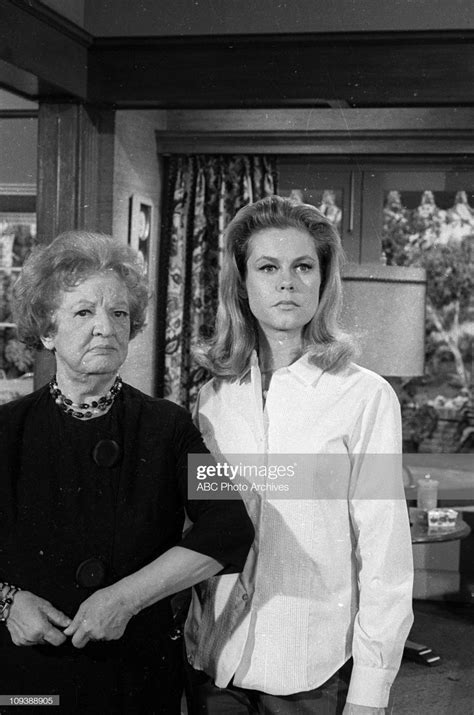 Pin By Anne Wells On Bewitched Cast Of Characters Elizabeth