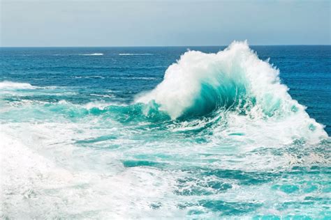What Is A Backwash Wave And How Does It Form
