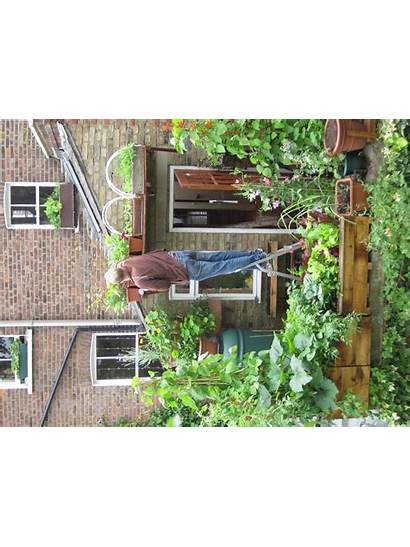 Salad Picking Balcony Vertical Growing Veg Verticalveg
