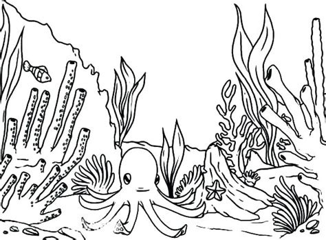 Ecosystem Coloring Pages At Free Printable Colorings