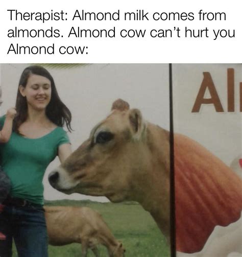 Almond Milk Comes From Almond Cows Rdankmemes