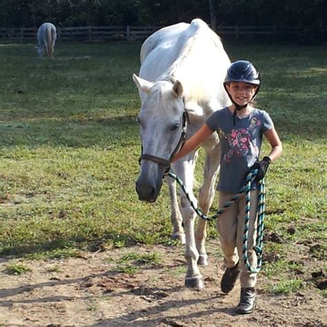 How To Catch A Horse White Rose Equestrian Center Blog