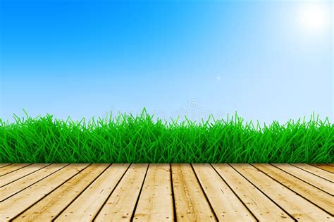 Background With Blue Sky And Green Grass Royalty Free