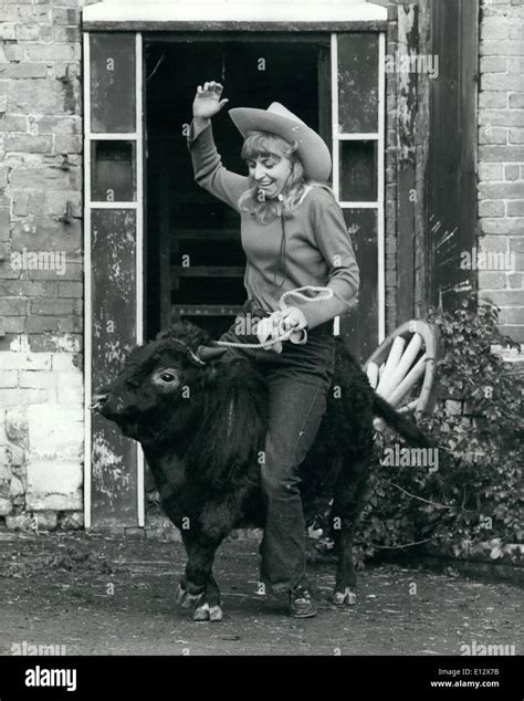 Ride Em Cowgirl Telegraph