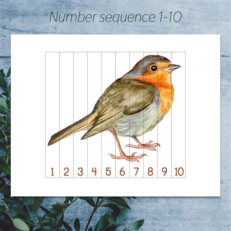 Bird Preschool Printable Number Sequence Puzzles 1 10 Etsy Ireland