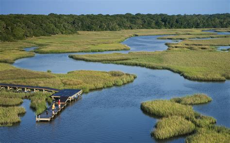 Understanding Coastal Wetland Loss Erg Eastern Research Group Inc