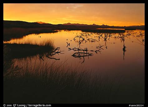 Picturephoto Wetlands At Sunrise Havasu National Wildlife Refuge