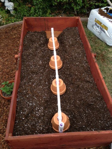 Self Watering Olla System Garden Irrigation Diy Raised Garden