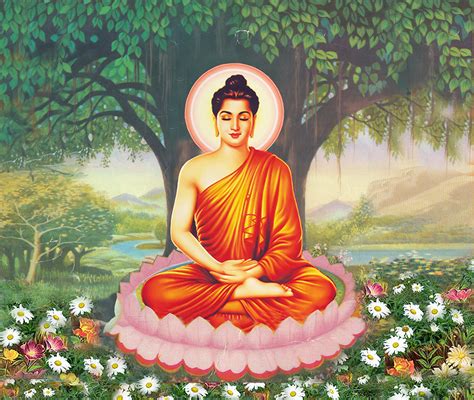 Top 50 bức ảnh Phật Thích Ca Mâu Ni đẹp nhất để khám phá tinh thần và