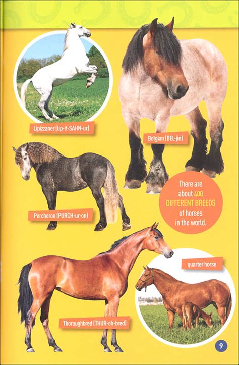 Gallop 100 Fun Facts About Horses National Geographic Reader Level 3
