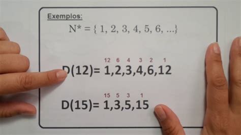 Divisores De Um Número Natural 6 Ano