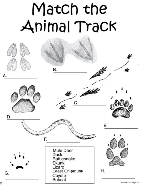 Match The Animal Track Animal Tracks Nature Activities Animal Science