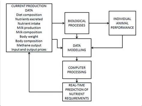 Flow Chart Showing Animal Model Used To Predict Nutrient Requirements