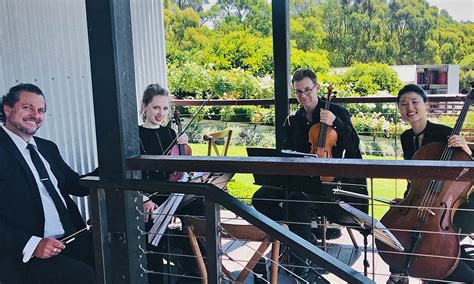 String Quartet For Canberra Weddings String Musicians Australia
