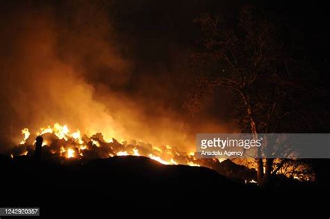 Small Forest Fire Photos And Premium High Res Pictures Getty Images