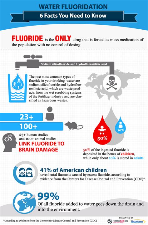 How To Select A Water Damages Professional Telegraph