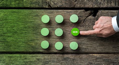 Auf deutsch bedeutet das kürzel skandinavische privatbank (skandinaviska enskilda. ASHBURN International Expands Partnership with SEB Bank ...