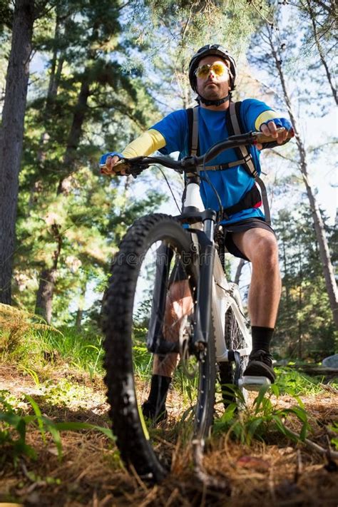 Male Mountain Biker With Bicycle In The Forest Stock Image Image Of
