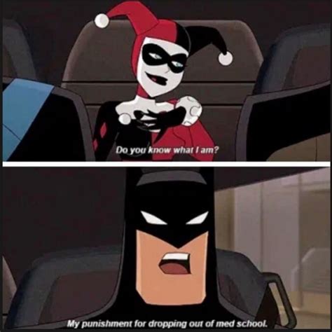 Harley Batman Batman Meme Superhero Memes Joker And Harley Quinn