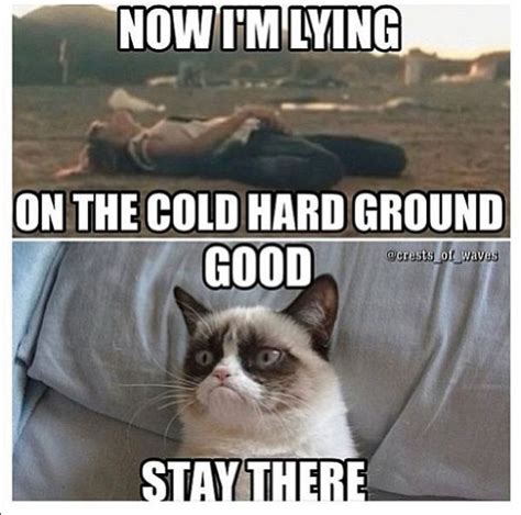 30 Most Funny Grumpy Cat Pictures And Memes Entertainmentmesh