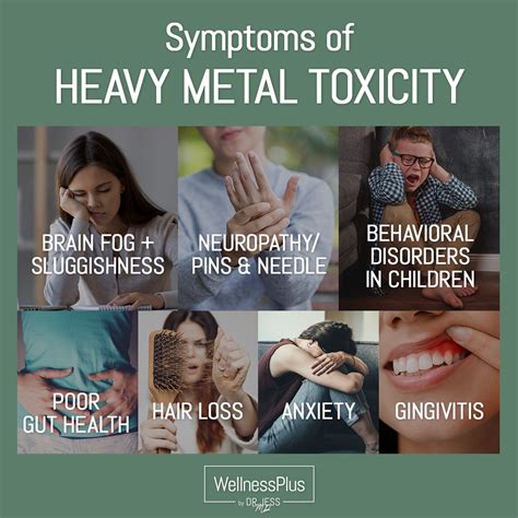 Symptoms Of Heavy Metal Toxicity Wellnessplus By Dr Jess