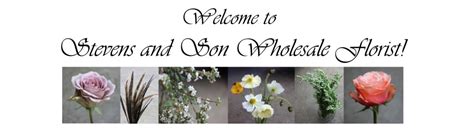 Stevens And Son Wholesale Florist Offering The Floral Industry A Full