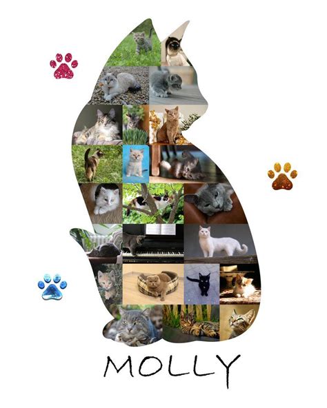 Our pet memorial gifts are perfect for remembering the pets in your family. Cat memorial photo collage gift Cat poster for Cat lover ...