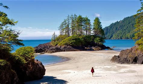Why Vancouver Island Is One Of Canadas Most Sought After Places To