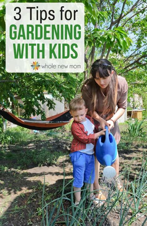 3 Tips For Gardening With Kids Whole New Mom