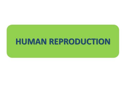 Human Reproduction Ppt