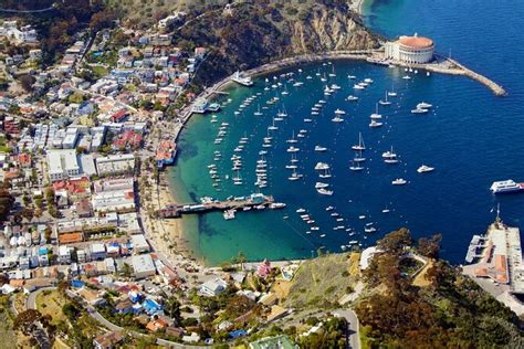 Catalina Island Day Trip From Los Angeles With Discover Avalon Scenic