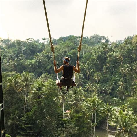 Bali Swing Of Ubud Ultimate Guide Everything You Need To Know