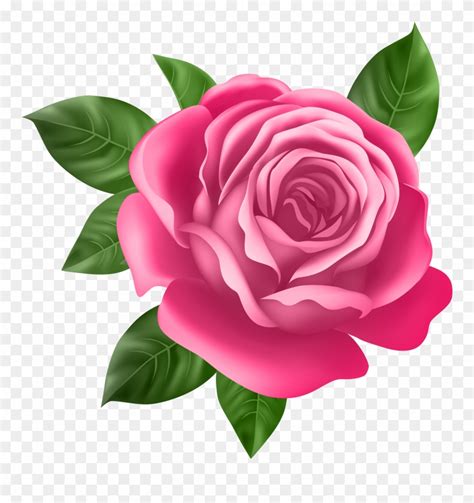Free Rose Clip Art Pink Rose Pink Rose Clipart Stunni