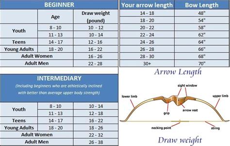 Bow Length Draw Weight In Recurve Bow