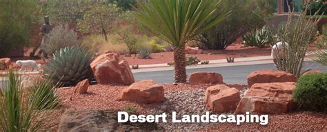 Desert Landscaping Is Low Maintenance Eagle Creek Landscapes