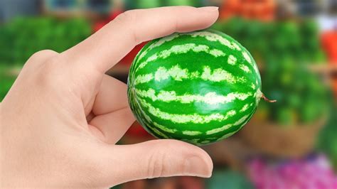 Realistic Mini Food Amazing Polymer Clay Diy Crafts Youtube
