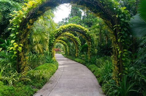 Singapore Botanic Gardens Walk Map And Photo Guide