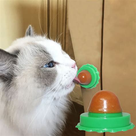 Cat Solid Nutrition Gel Energy Ball Stick To The Wall Toy Catnip Sugar