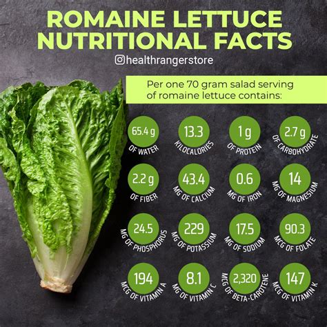 Lettuce Nutrition Facts Latest Dome