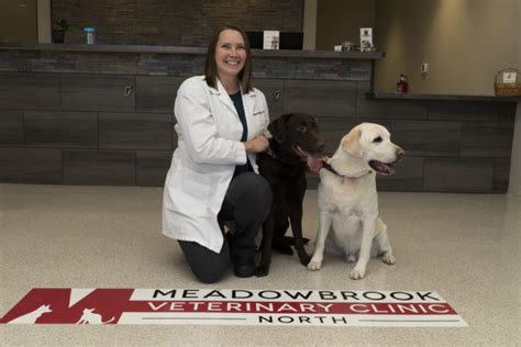 Our Team Meadowbrook Veterinary Clinic Of Peoria Pc