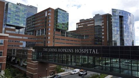 Johns Hopkins Launches Hub For Immunology And Engineering