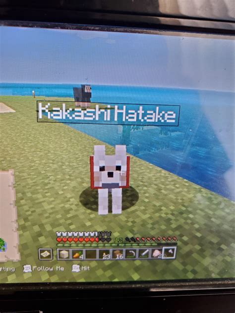 My Amazing Minecraft Doggo Naruto