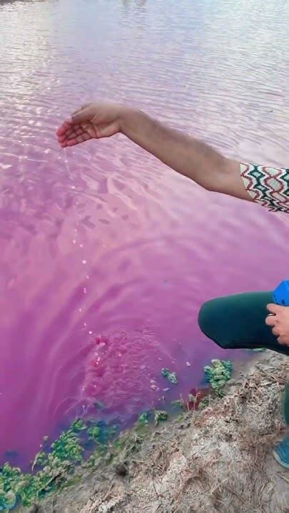 Trending Pink Lake Salalah Oman Youtube