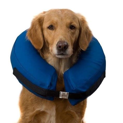 The good thing about this type of diy dog cone is that it can be detached easily, so, your dog can freely eat, drink and sleep. 7 Alternatives to the "Cone of Shame" | Dog cone alternative, Dog cone, Homemade dog cone