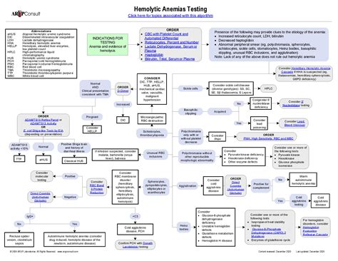 Hemolytic Anemia Differential Diagnosis Algorithm Her