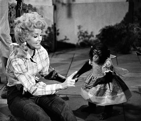 Actress Donna Douglas Ellie Mae Clampett With A Cute Chim Flickr