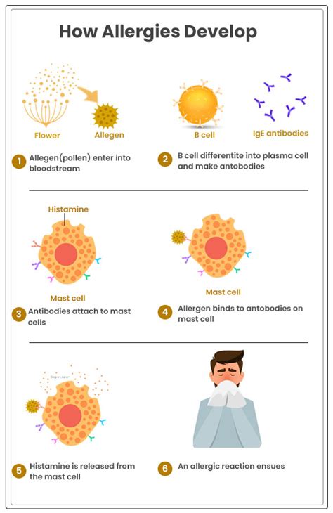 Pollen Allergy Types Symptoms Causes And More Dentist Ahmed