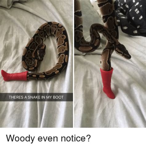 25 Best Memes About Theres A Snake In My Boot Theres